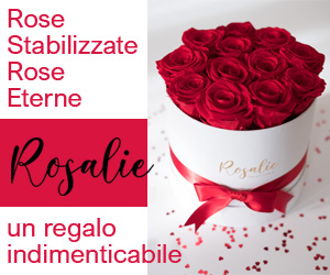 Rosalie Shop Rose Stabilizzate