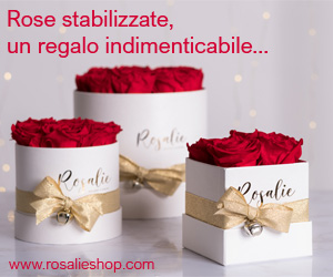 Rosalie Shop Rose Stabilizzate